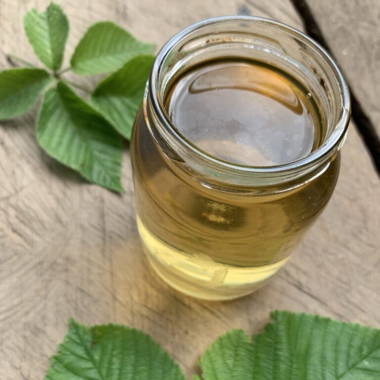 Blackberry Leaf Hair Rinse