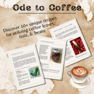 Ode to Coffee: The Journey from Soil to Cup & Beyond ebook