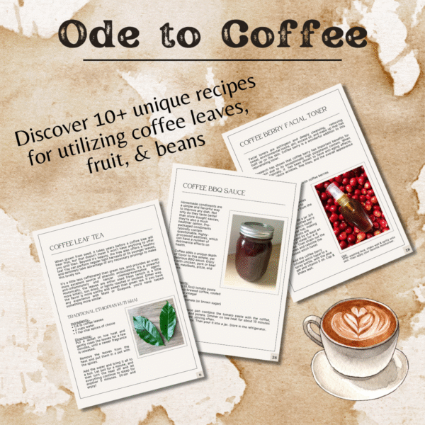 Ode to Coffee: The Journey from Soil to Cup & Beyond ebook - Image 2