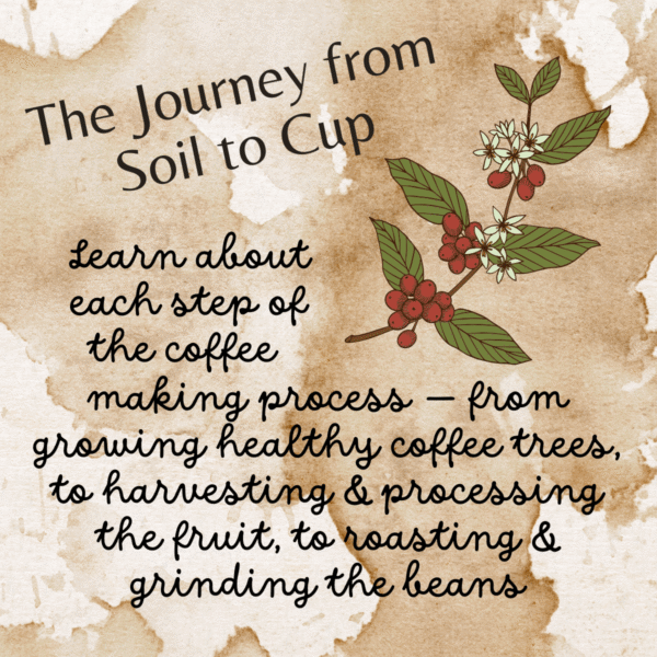 Ode to Coffee: The Journey from Soil to Cup & Beyond ebook - Image 3