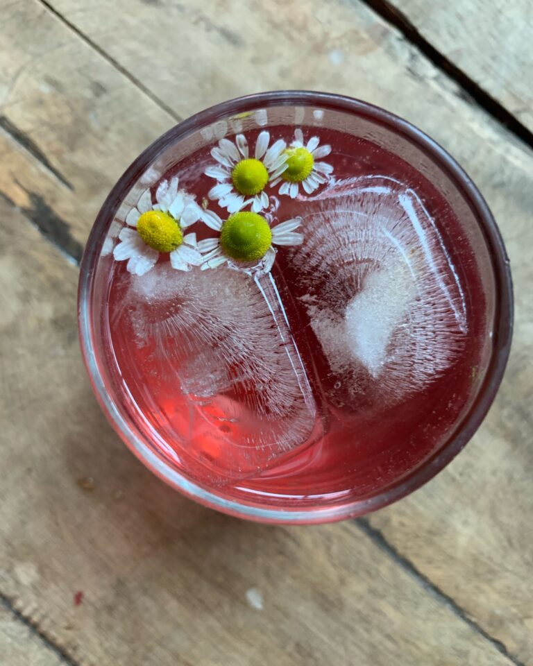 Strawberry Chamomile Sparkling Water