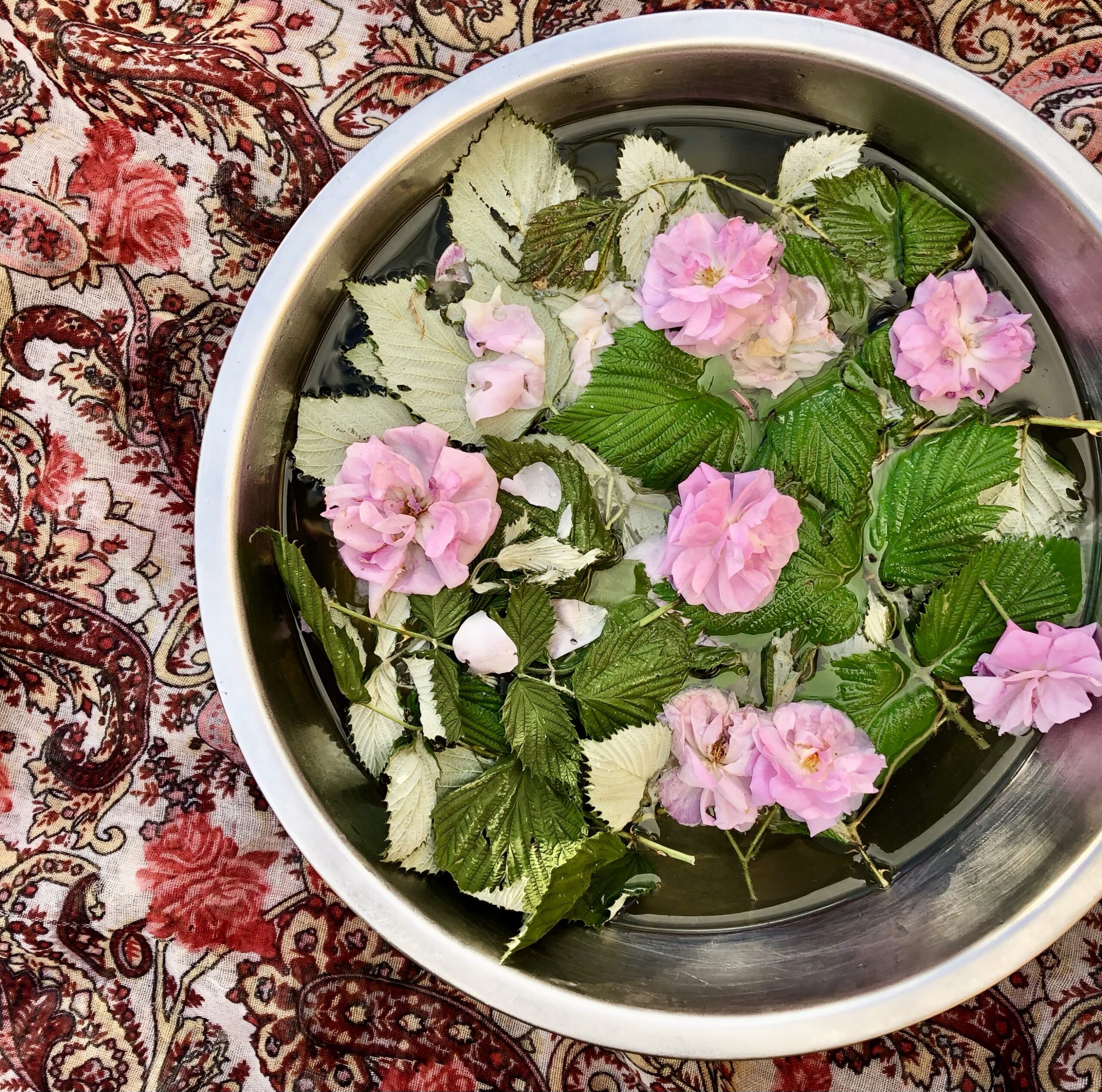 Raspberry Leaf & Rose Vaginal Steam