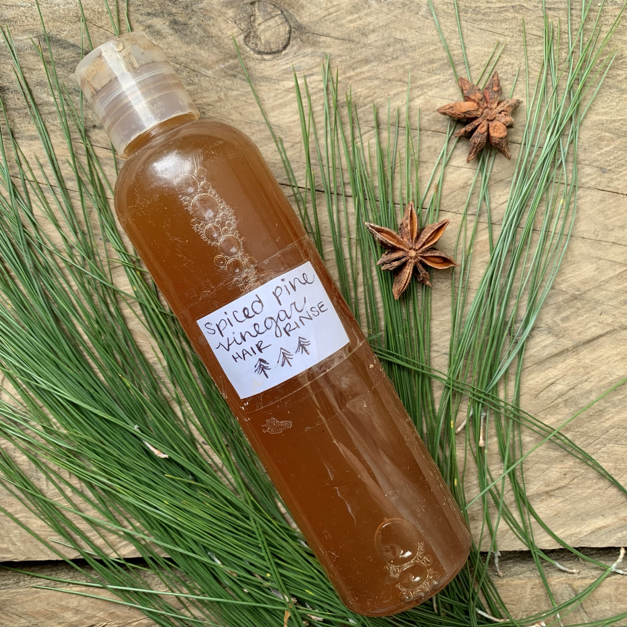 Spiced Pine Vinegar Hair Rinse