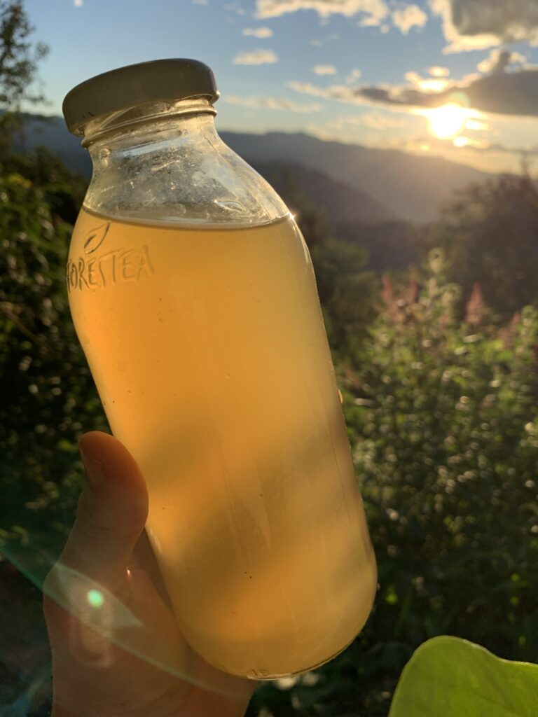Linden Limeade