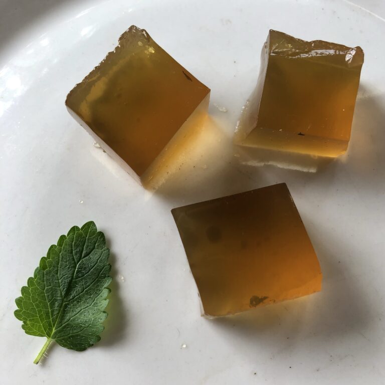 Lemon Balm Jello