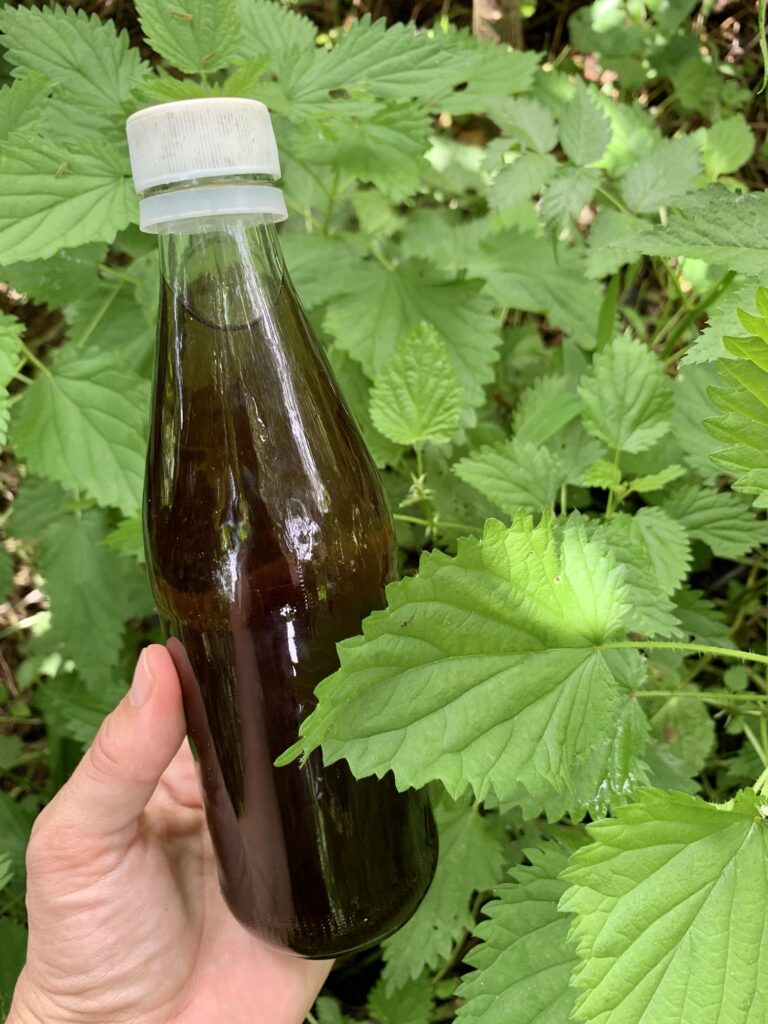 Nettle Tincture