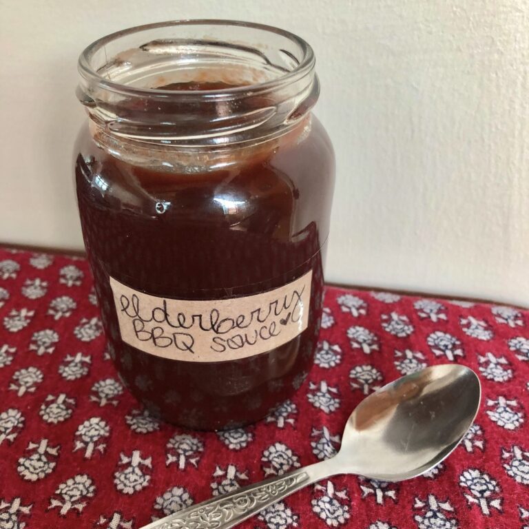 Elderberry Barbecue Sauce