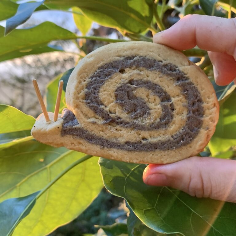 Pinwheel “Snail” Cookies