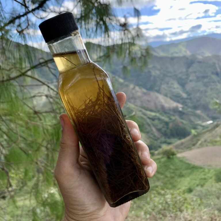 Pine Infused Vinegar