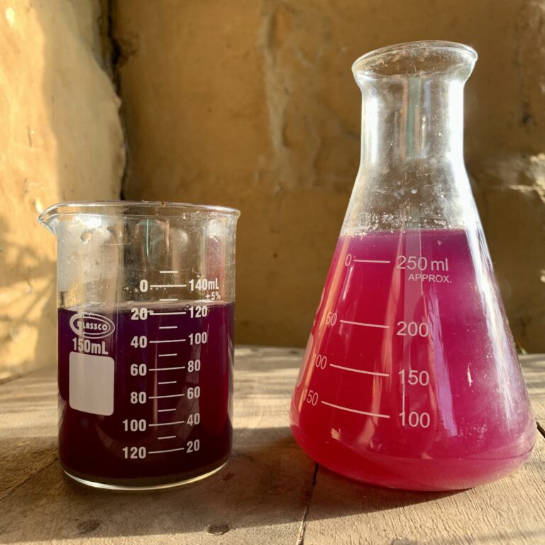 Magic Potion Herbal Tea