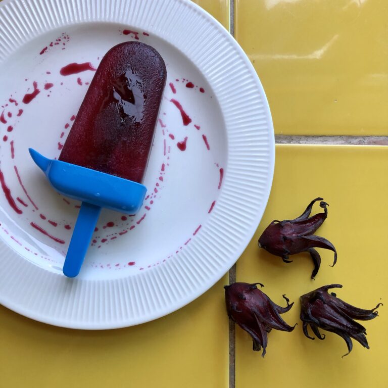 Flor de Jamaica Popsicles