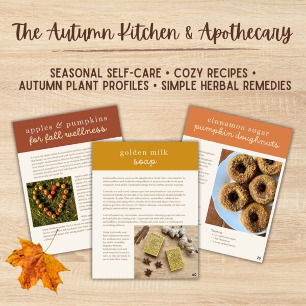The Autumn Kitchen & Apothecary ebook - Image 2