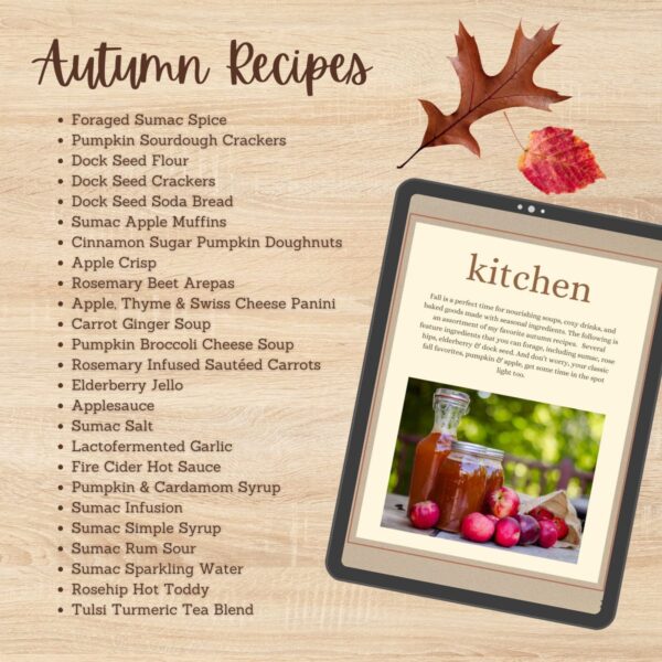 The Autumn Kitchen & Apothecary ebook - Image 3