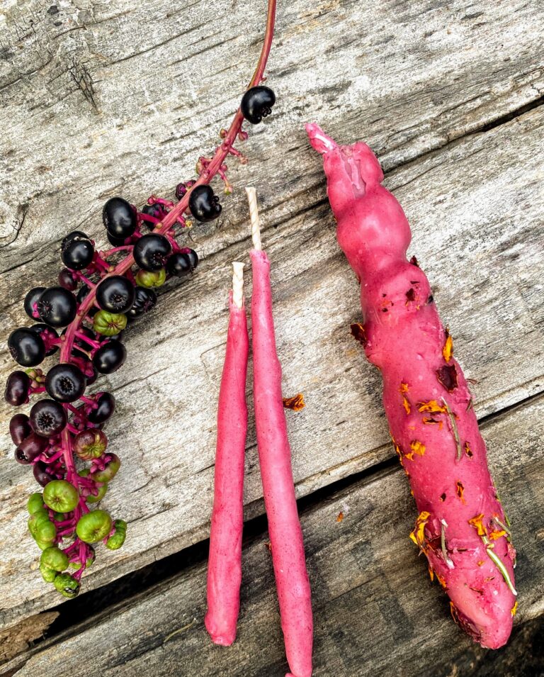 Pokeberry Dyed Mullein Candles
