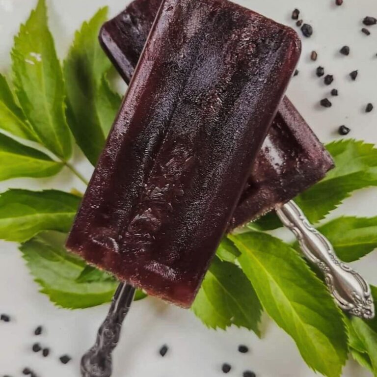 Immuni-Tea Popsicles