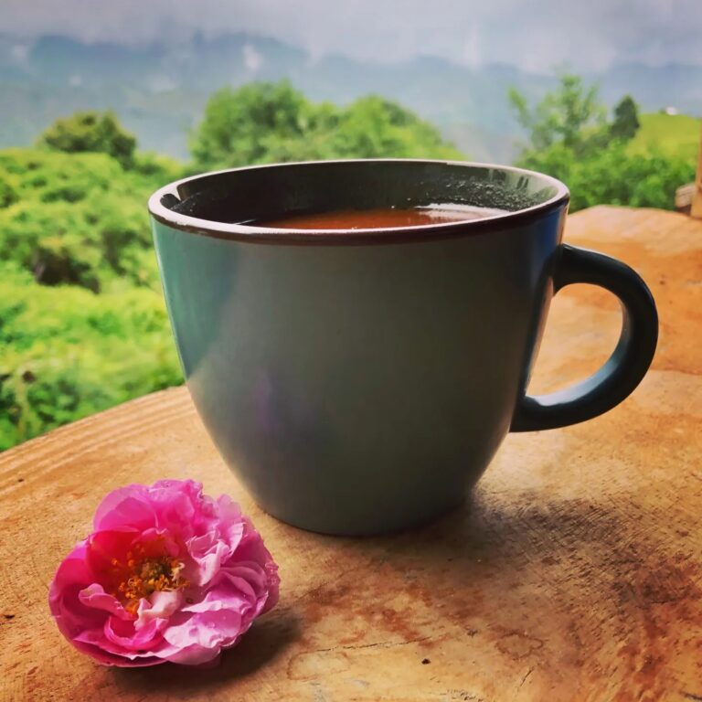 Bone Broth Hot Cocoa