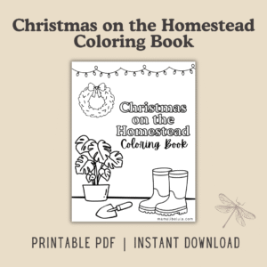 Christmas on the Homestead Kids' Coloring Book | Holiday Printable (PDF)