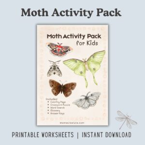 Moth Activity Pack [Printable] - Image 1