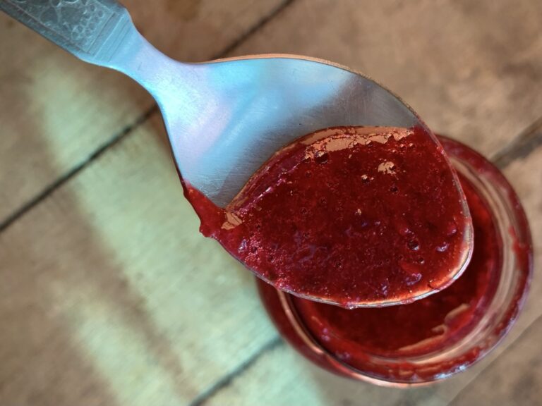 Blackberry Hot Sauce