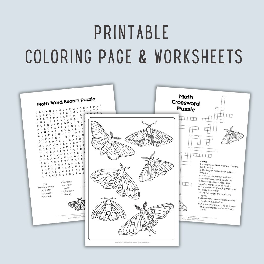 Moth Activity Pack [Printable] - Image 2