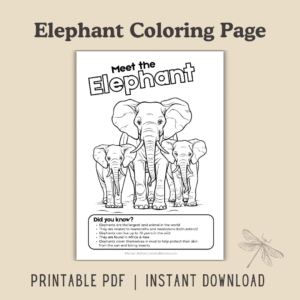 Elephant Coloring Page [Printable]
