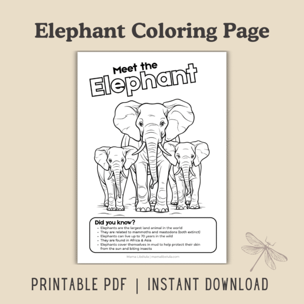 Elephant Coloring Page [Printable]