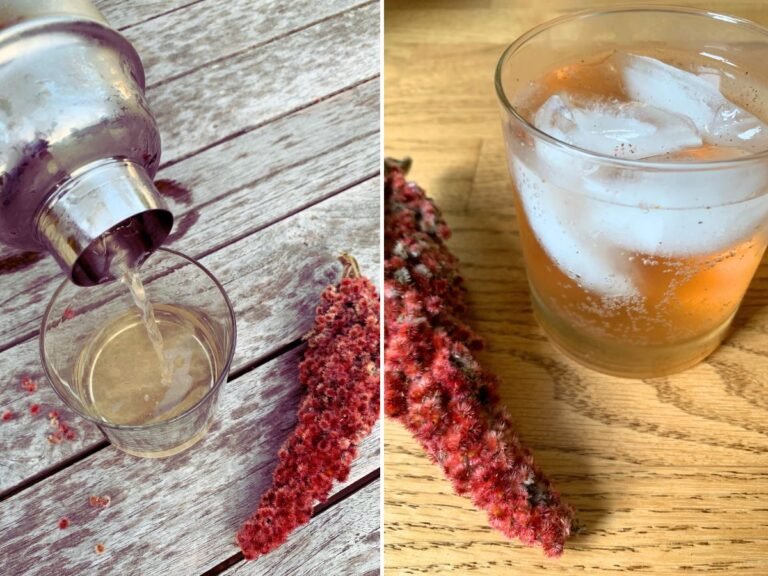 Sumac Rum Sour + Sparkling Sumac Mocktail